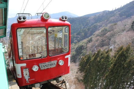 We took the cable car up the mountain...