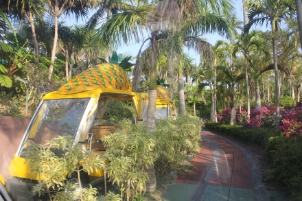 We drove in a pineapple car at the Nago Pineapple Park, a trippy, bizarre, hilarious, DELICIOUS experience. 
