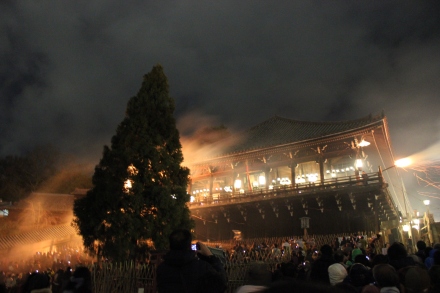 In Nara, we also got to see the Fire Matsuri (festival), during which priests would run up the stairs of the temple with giant torches set aflame, run across the front of the temple, and sprinkle sparks upon the spectators below. 
