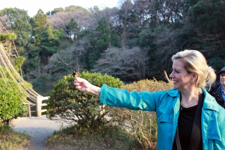 Mum feeding a Meiji bird! (Clearly, this is one of my favorite Tokyo activities...)